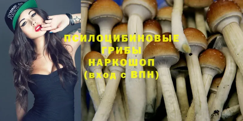 МЕГА ONION  Асино  Галлюциногенные грибы MAGIC MUSHROOMS 